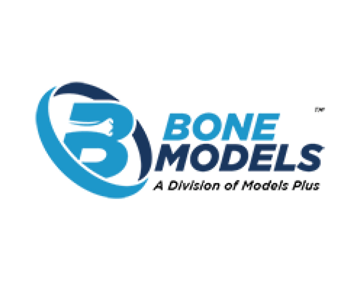 BONE MODELS
